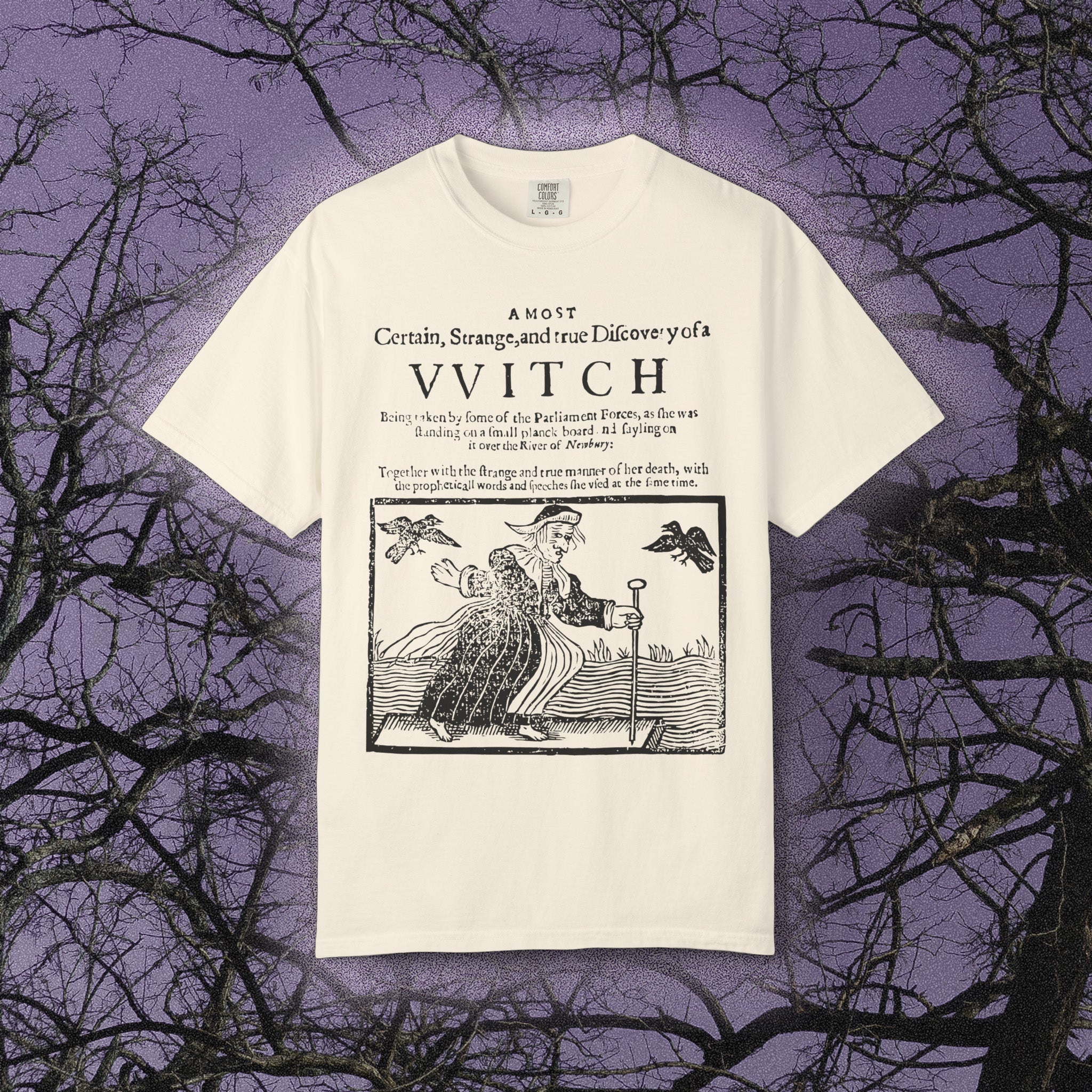 Discovery of a Witch (Comfort Colors) - Black Mass Apparel - T-Shirt